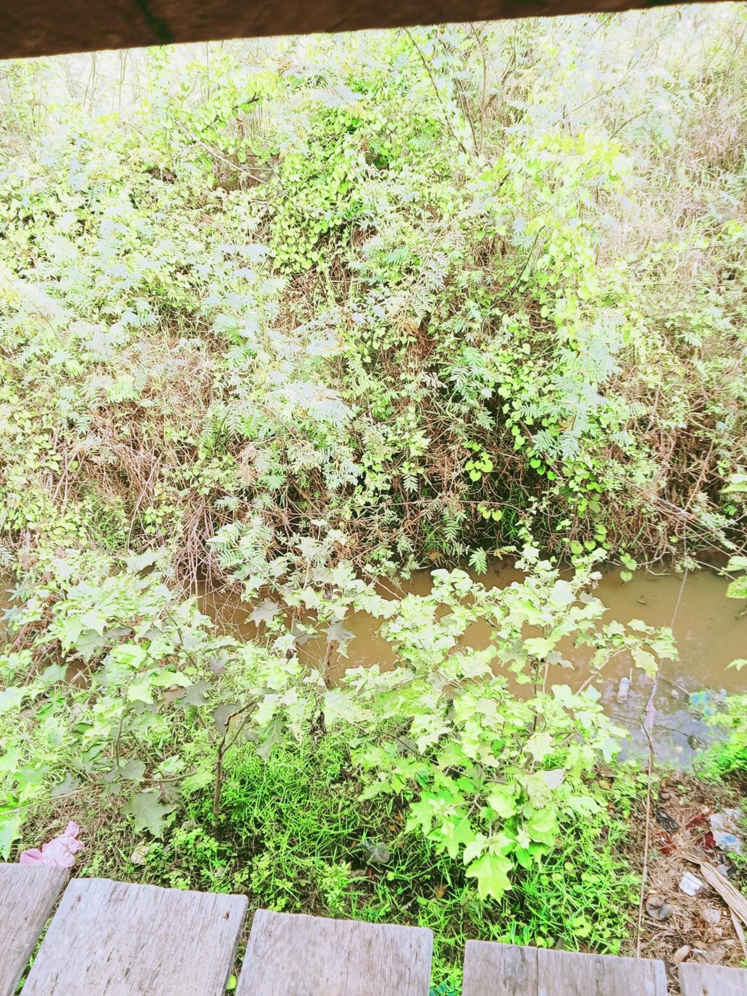 Chamkachuk Home Siem Reap Exterior photo